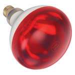 Winco , EHL-BR, Heat Lamp Bulb